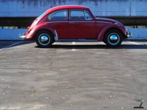 Imagen 5/171 de Volkswagen Käfer 1200 (1965)