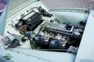 Image 14/45 of Triumph TR 2 (1954)