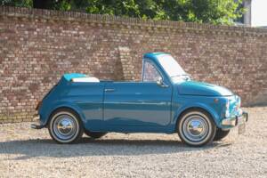 Bild 25/50 von FIAT 500 Moretti Minimaxi (1973)