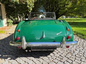 Image 10/37 de Austin-Healey 100/6 (BN6) (1958)