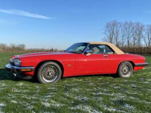 Bild 7/8 von Jaguar XJS 5.3 V12 (1992)