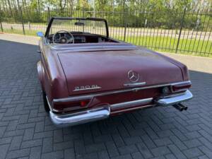 Image 8/50 of Mercedes-Benz 230 SL (1966)