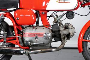 Immagine 18/50 di Aermacchi Ala Verde (1964)