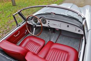 Image 13/16 of Lancia Aurelia B24 Convertible (1957)
