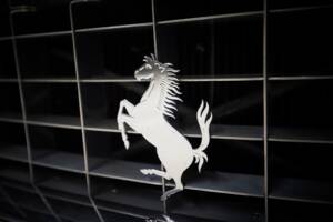 Imagen 27/90 de Ferrari 250 GT 2+2 (1963)