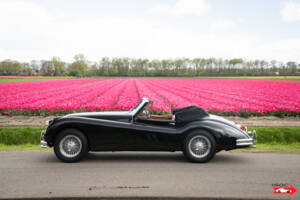 Immagine 3/47 di Jaguar XK 140 DHC (1956)