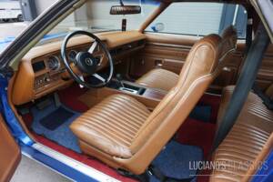 Afbeelding 35/58 van Pontiac GTO (1973)