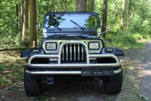 Bild 3/8 von Jeep Wrangler 2.5L (1992)