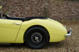 Bild 19/50 von Austin-Healey 3000 Mk I (BN7) (1960)