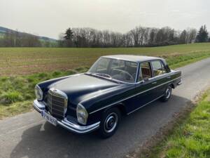 Image 14/52 of Mercedes-Benz 250 S (1967)