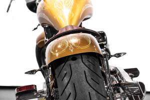 Bild 6/38 von Harley-Davidson DUMMY (2009)