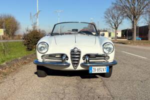 Bild 2/28 von Alfa Romeo Giulietta Spider (1961)