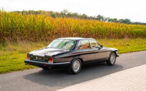 Image 4/37 of Daimler Double Six (1992)