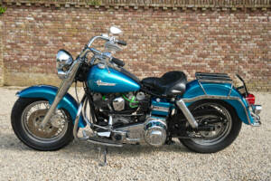 Bild 1/30 von Harley-Davidson DUMMY (1979)