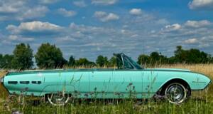 Bild 2/47 von Ford Thunderbird (1962)