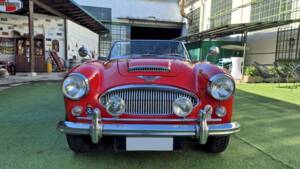 Imagen 6/53 de Austin-Healey 3000 Mk III (BJ8) (1965)