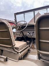 Bild 12/19 von Willys MB (1945)