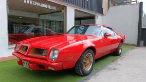 Bild 3/18 von Pontiac Firebird Esprit (1975)