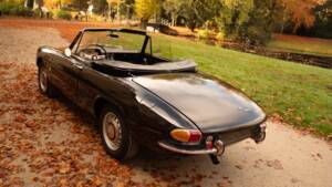 Image 45/51 of Alfa Romeo 1600 Spider Duetto (1966)