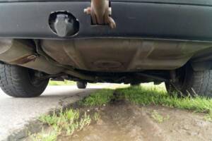 Bild 21/40 von BMW 316i (1998)