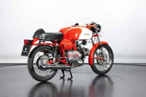 Immagine 4/50 di Aermacchi Ala Verde (1964)