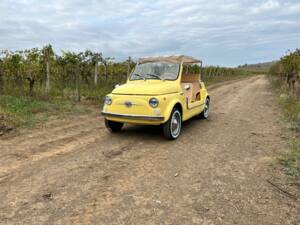 Bild 51/80 von FIAT Ghia 500 Jolly (1972)