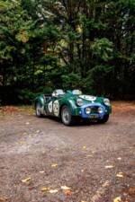 Afbeelding 16/33 van Triumph TR 2 (1955)