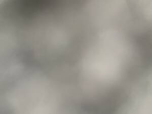 Bild 68/100 von Volkswagen T1 Kleinbus (1967)