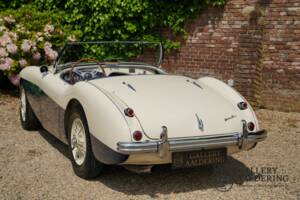 Image 28/50 of Austin-Healey 100/4 (BN1) (1954)