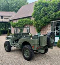 Immagine 19/20 di Jeep Willys-Overland CJ-3A (1950)