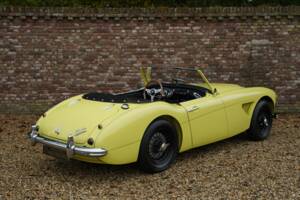 Bild 46/50 von Austin-Healey 3000 Mk I (BN7) (1960)