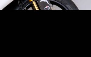 Image 3/98 of Ducati 1098 R (2010)