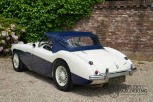 Image 11/50 of Austin-Healey 100/4 (BN1) (1954)