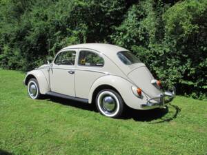 Image 3/39 of Volkswagen Maggiolino 1200 Export "Dickholmer" (1964)