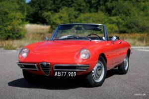Afbeelding 1/37 van Alfa Romeo 1600 Spider Duetto (1966)