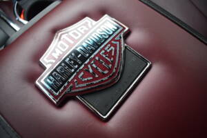 Bild 56/78 von Ford F-150 &quot;Harley-Davidson&quot; (2010)