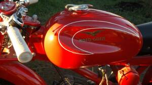 Immagine 11/20 di Moto Guzzi Cardellino 75 (1960)