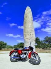 Image 6/51 of BSA B 44 (1966)