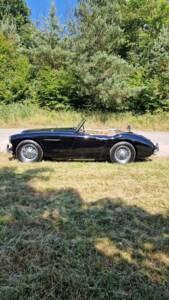 Bild 4/14 von Austin-Healey 3000 Mk I (BT7) (1961)