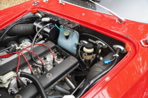 Bild 30/50 von Alfa Romeo Giulietta SZ (1961)