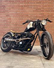 Imagen 37/60 de Harley-Davidson DUMMY (2017)