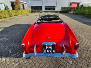 Bild 13/52 von FIAT 1200 Cabriolet (1959)