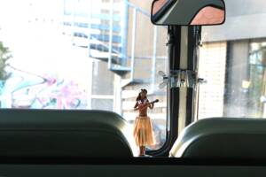 Image 31/43 de Volkswagen T1 Brasil (1974)