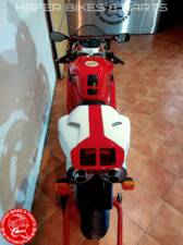 Bild 15/37 von Ducati DUMMY (2001)