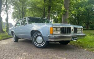 Afbeelding 1/8 van Oldsmobile Delta 88 Royale (1979)
