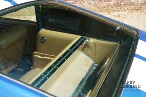 Bild 19/50 von Ford Shelby GT 500-KR (1968)
