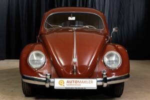 Bild 2/86 von Volkswagen Käfer 1100 Export (Brezel) (1951)
