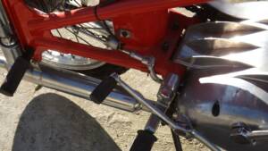 Afbeelding 36/50 van Rumi DUMMY (1960)