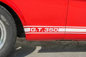 Image 15/50 of Ford Shelby GT 350 (1965)