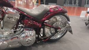 Bild 12/15 von Harley-Davidson DUMMY (2007)